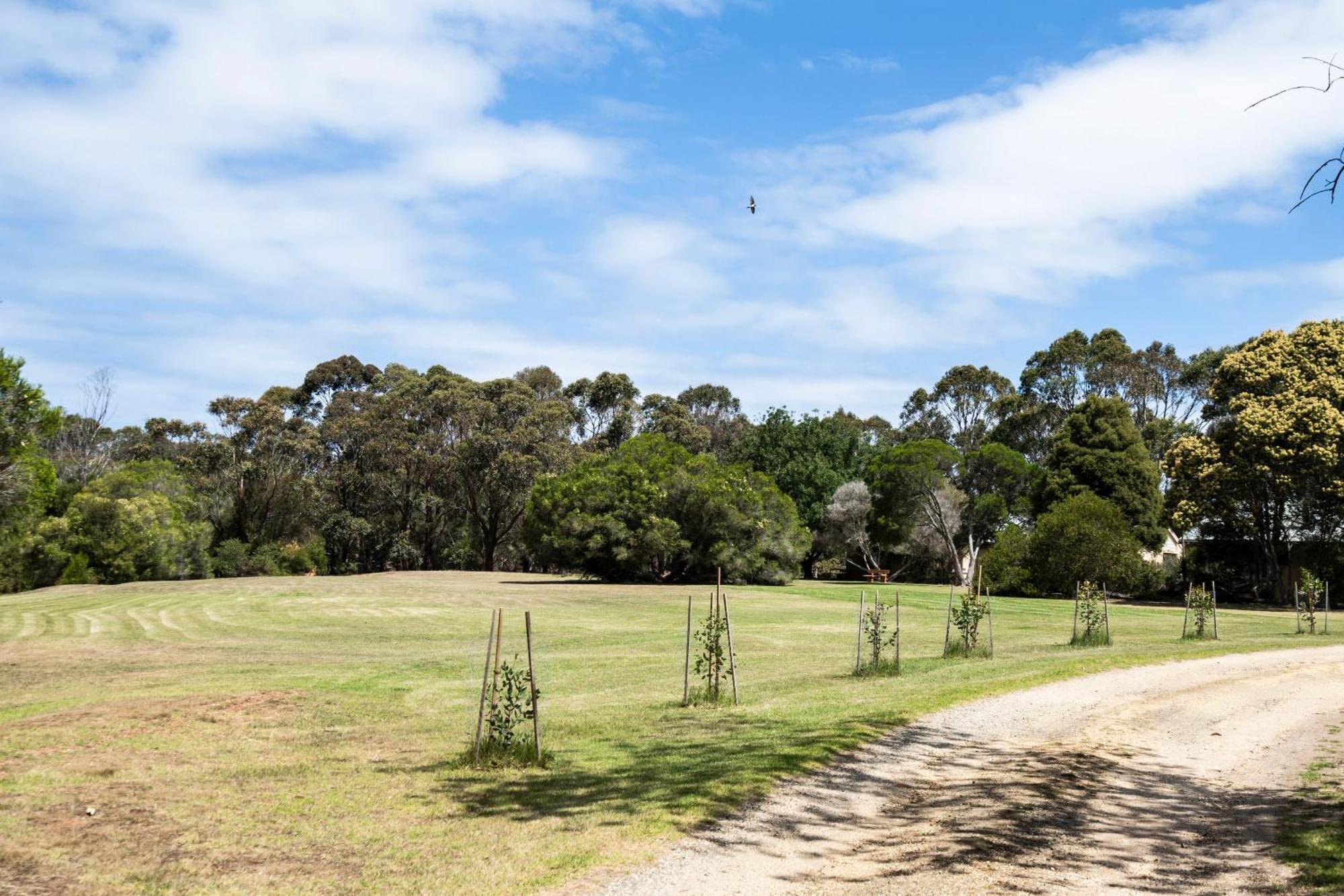 Bells Beach Cottages Bellbrae Екстер'єр фото