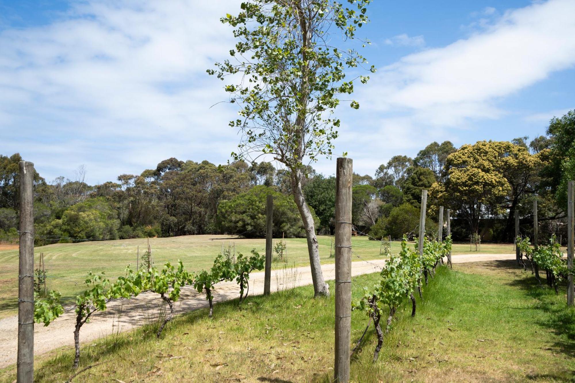Bells Beach Cottages Bellbrae Екстер'єр фото